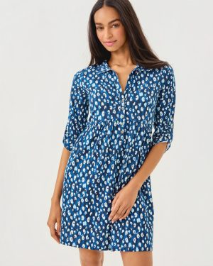 Saralyn Popover Shirtdress